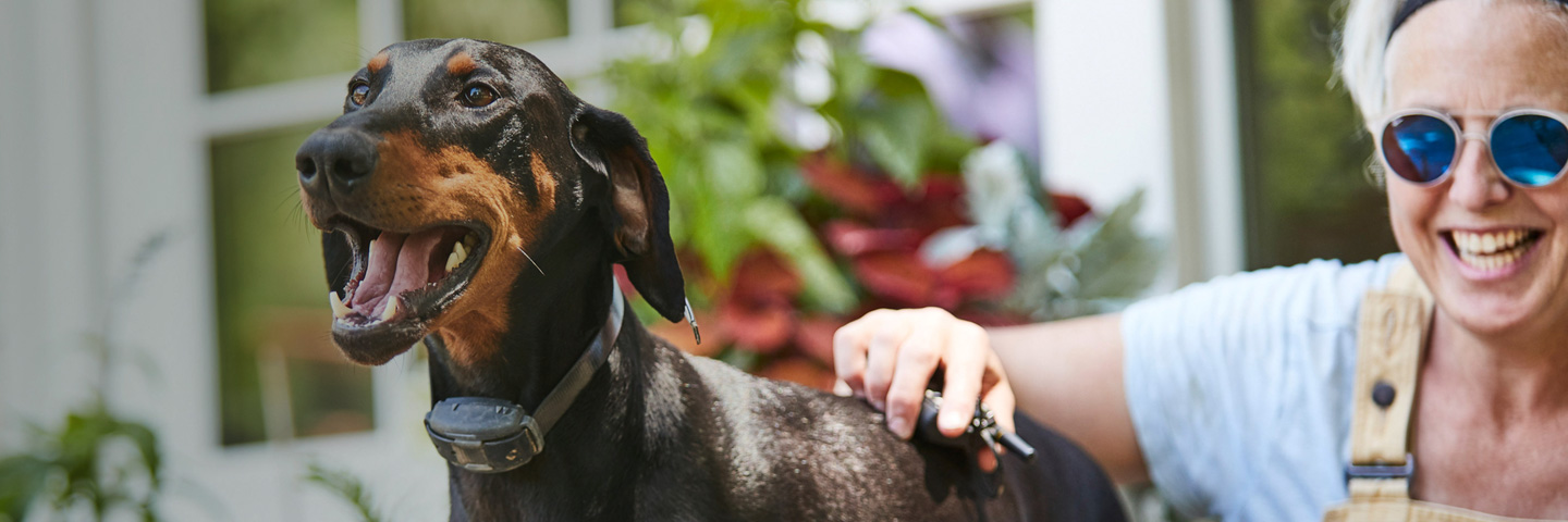 DogWatch of the Red River Valley, Hillsboro, North Dakota | Remote Dog Training Collars Slider Image